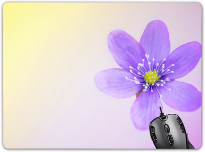 

Claptrap mp-983 Mousepad(Multicolur)