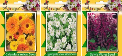 Airex Calendula Yellow, Gypsophila Snow White, and Salvia Violet Seed(20 per packet)