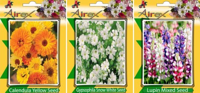 Airex Calendula Yellow, Gypsophila Snow White, and Lupin Mixed Seed(15 per packet)