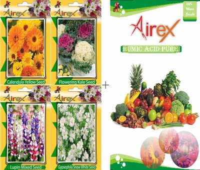 Airex Calendula Yellow, Flowering Kale, Lupin Mixed, and Gypsophila Snow White Seed(20 per packet)