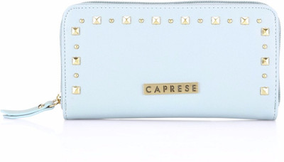 

Caprese Casual Blue Clutch