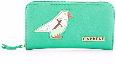 

Caprese Casual Green Clutch