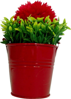 

HOB Red, Green Assorted Artificial Flower with Pot(6.2 inch, Pack of 1)