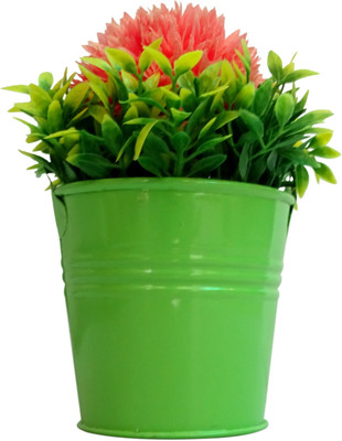 

HOB Orange, Green Assorted Artificial Flower with Pot(6.2 inch, Pack of 1)