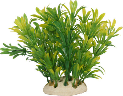 

Jainsons Pet Products Gravel Planted Substrate(Green)