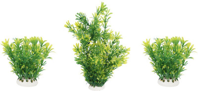 

Jainsons Pet Products Laterite Unplanted Substrate(Green)