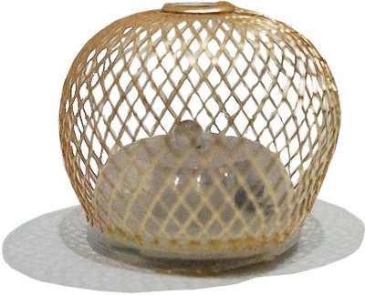

Muren Plastic (Pack of 12) Table Diya Set(Height: 1.5 inch)