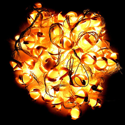 

A To Z Traders 314 inch Yellow Rice Lights(Pack of 1)
