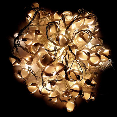

A To Z Traders 314 inch White Rice Lights(Pack of 1)