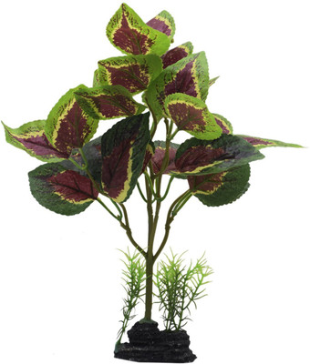

SRI Laterite Planted Substrate(Green)