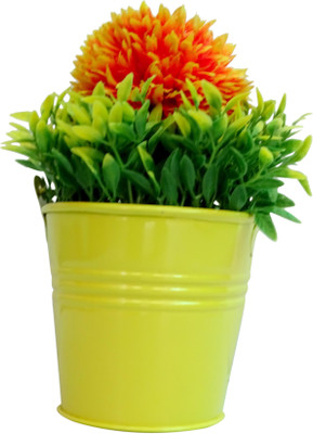 

HOB Orange Assorted Artificial Flower with Pot(5.5 inch, Pack of 1)