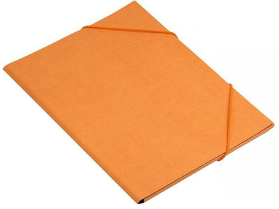 

NUMIC Paper Canvas Folder(Set Of 1, Tangerine)