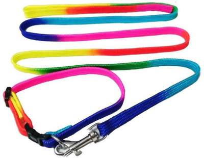 Pets Empire Dog Puppy and  Breed Dog Rainbow colours Collar and Leash Set Dog Collar & Leash(, color may vary