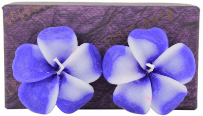 

Soulflower Walk in the Wood Aroma Floating Candle Hibiscus Shape Medium Candle(Multicolor, Pack of 2)