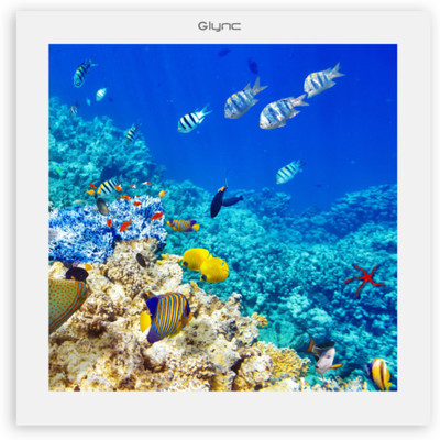 

GLYNC Picture Light Wall Lamp