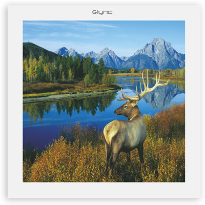 

GLYNC Picture Light Wall Lamp