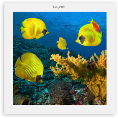 

GLYNC Picture Light Wall Lamp