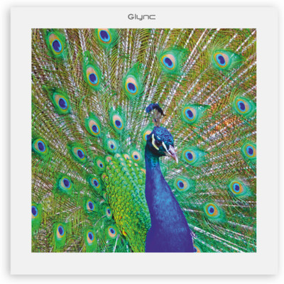 

GLYNC Picture Light Wall Lamp