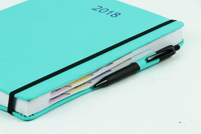 

COI B5 Diary(Sea Green Personal Diary 2018/ Organizer Planner With Elastic Band And Pen, Sea Green)