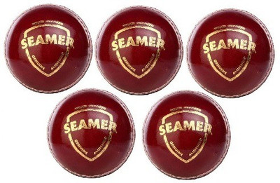 

SG 'Seamer' Leather (Pack of 5) Cricket Leather Ball(Pack of 1, Multicolor), Red