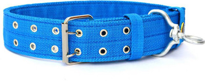 

Sollar's Blue Nylon  Elegant Look Dog Everyday Collar(, Blue