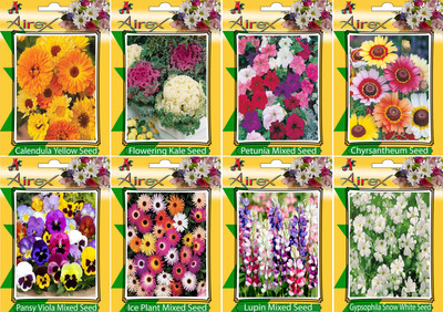 Airex Calendula Yellow, Flowering Kale, Petunia Mixed, Chyrsantheum, Pansy Viola Mixed, Ice Plant Mixed, Lupin Mixed, and Gypsophila Snow White Seed(25 per packet)