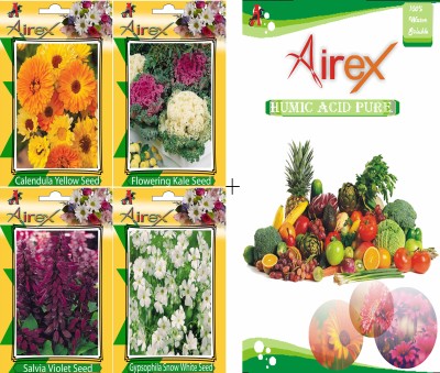 Airex Calendula Yellow, Flowering Kale, Salvia Violet, and Gypsophila Snow White Seed(20 per packet)