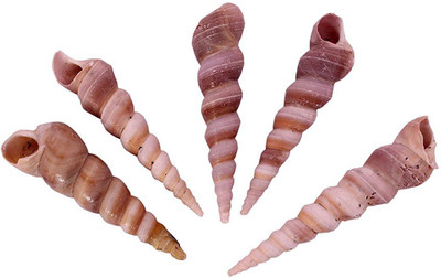 

SRI Shale Planted Substrate(Multicolor)