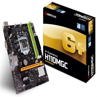 BIOSTAR BIOSTAR H110MGC Motherboard
