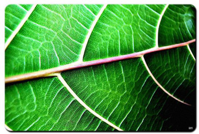 

REHBAR RG000000002306 Mousepad(Multicolor)