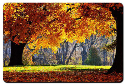 

REHBAR RG000000002170 Mousepad(Multicolor)