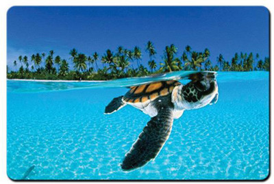 

REHBAR RG000000002224 Mousepad(Multicolor)