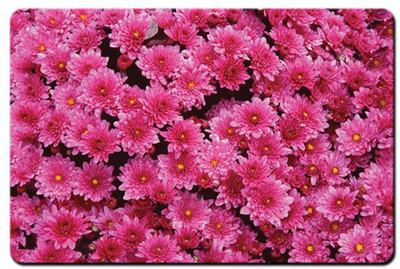 

REHBAR RG000000002234 Mousepad(Multicolor)