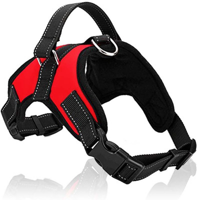 dog belt in flipkart