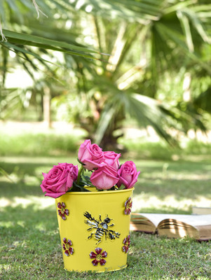 

Aasra Handpainted Planter with Bee & Flower Metal Patch Plant Container Set(Pack of 3, Metal)