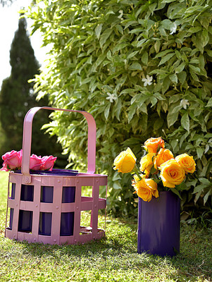 

Aasra Pink & Blue Basket with Cup Planters Plant Container Set(Pack of 5, Metal)