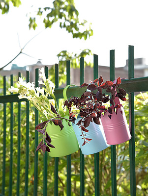 

Aasra Set OF 3 Multicolor Planters Plant Container Set(Pack of 3, Metal)