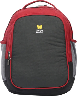 

Liviya SB-1136 39 L Backpack(Grey, Red)