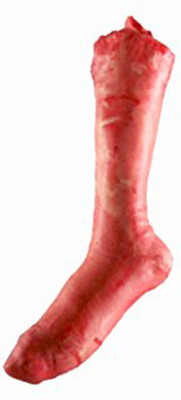 

Oxytrends 1 Halloween leg Gag Toy