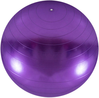 

Instafit Pro-workout Gym Ball, Purple