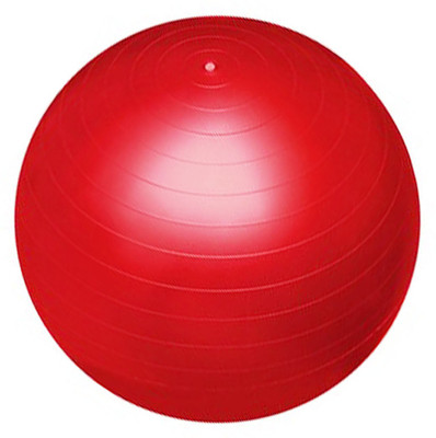 

Instafit Pro-workout Gym Ball(With Pump), Red