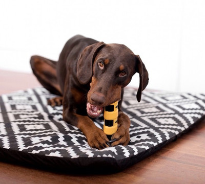 

outward Hound Rebound Baton Large, 26cm Rubber Chew Toy For Dog