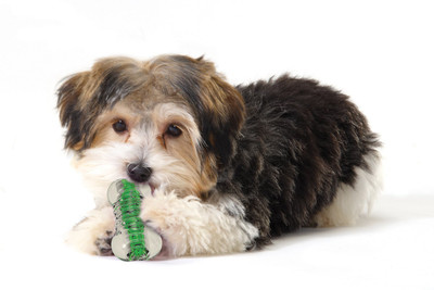

Petstages Rubber Chew Toy For Dog