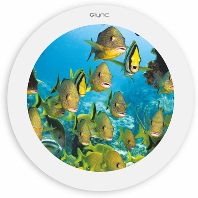 

GLYNC Picture Light Wall Lamp