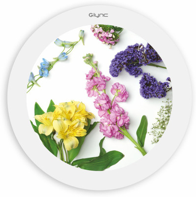 

GLYNC Picture Light Wall Lamp