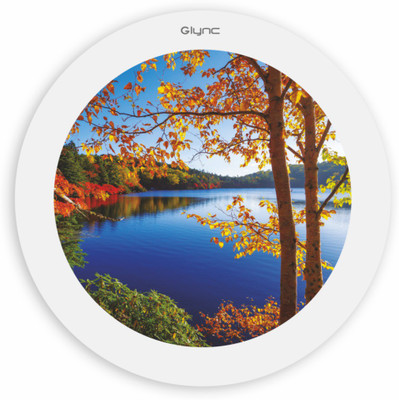 

GLYNC Picture Light Wall Lamp