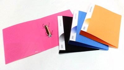 

Yes Polypropelene D-Ring inder Clip File (4 pcs)(Set Of 4, Blue, Pink, Black, Orange)