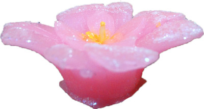 

Greenmax Pink Rose wax Candle(Pink, Pack of 4)