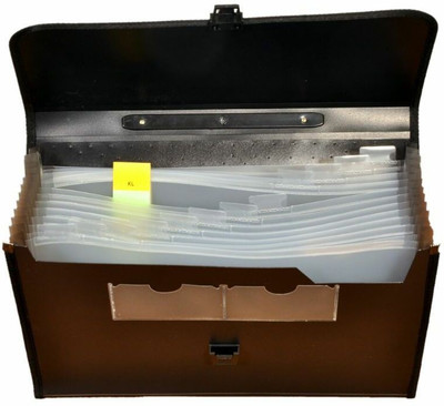 

Office Mart Polypropylene Document File\Folder(Set Of 1, Blue & Matt Black)