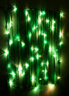 

Little India 400 inch Green Rice Lights(Pack of 1)